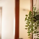 Lägenhet Cisterna Loft
