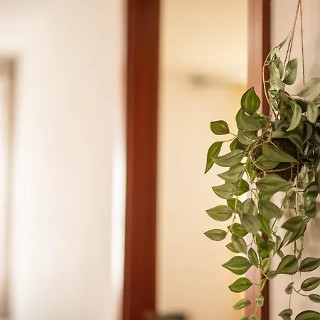 Apartment Cisterna Loft