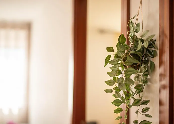 Appartement Cisterna Loft